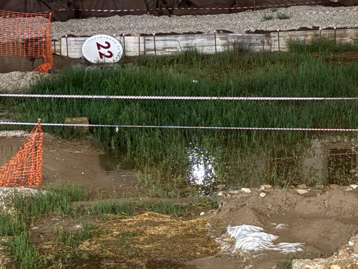  - Foto: HUERMUR