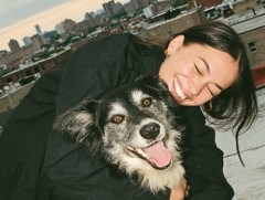 El mercado de los seguros veterinarios crece una animalada