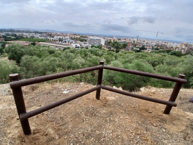 Finalitzen les intervencions a la Muntanyeta del Salvador d'Alzira per a convertir-la en un parc forestal urbà