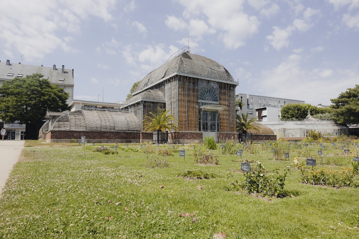 El jardín de las Plantas