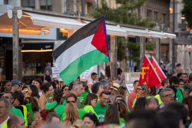 La manifestación de los docentes de Alicante, en Imágenes