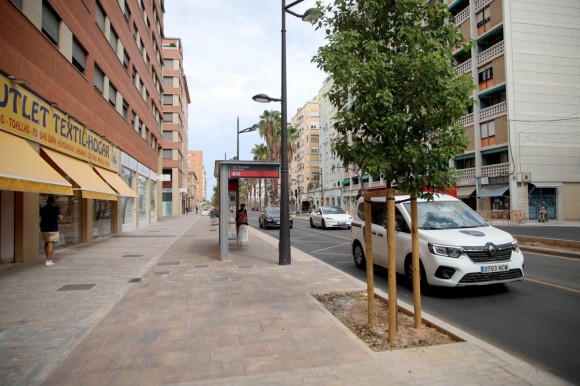 Giorgeta y Pérez Galdós incorporan 644 árboles y alcorques más grandes para mejorar espacios de sombra