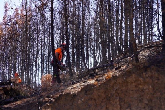 Así será el plan para recuperar la Calderona tras el incendio que calcinó casi 600 hectáreas en agosto