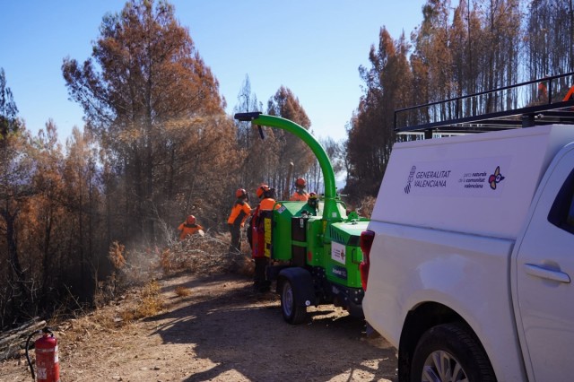 La Generalitat empieza a recuperar la zona del incendio de la Serra Calderona con 685.000 euros