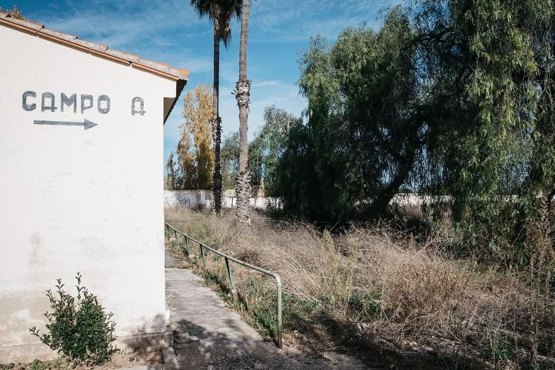 Castelló recupera los federativos: iniciará el desbroce para reabrir dos campos de césped artificial en 2027