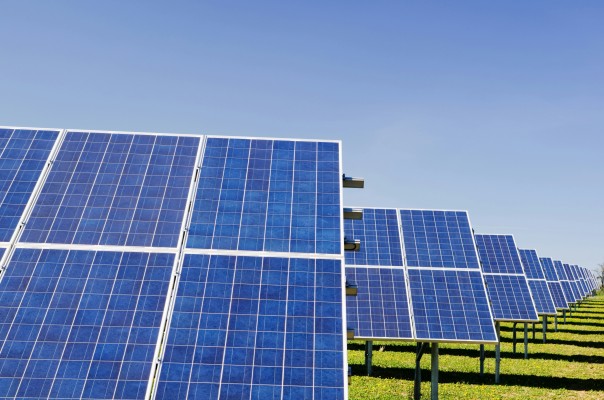 Medio Ambiente da el visto bueno a dos de las plantas solares que Soltec proyecta entre El Algar y La Unión 

