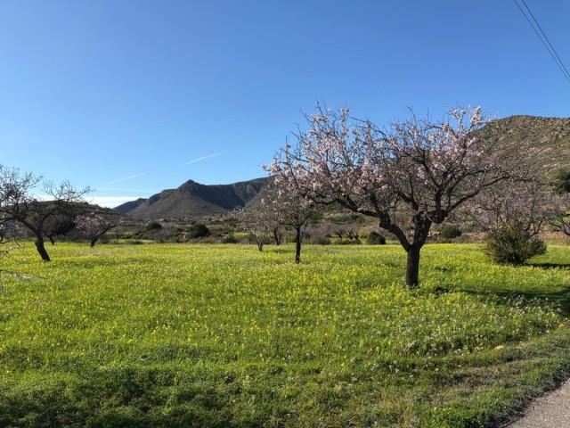 Cuando una tierra tiene nombre: el Campo de Cartagena