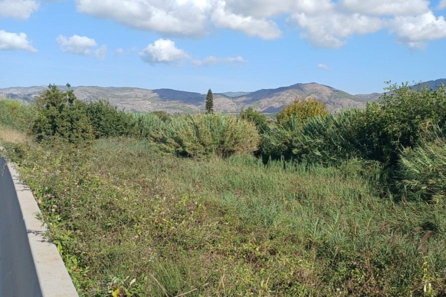 Castelló 'presiona' a la CHJ para limpiar la parte final del Riu Sec ante la época de lluvias y quejas vecinales