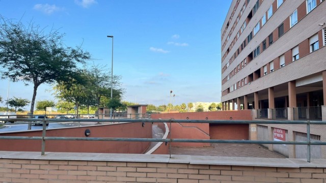 El PSPV pide 