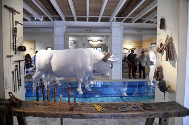 Así es el Museu de la Mar de València