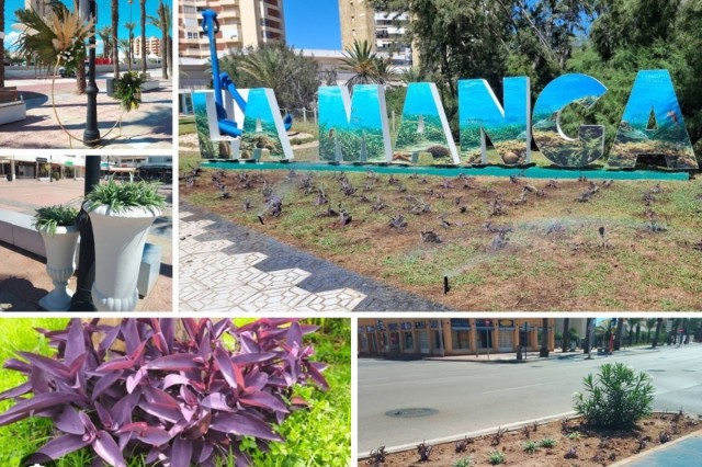 El Ayuntamiento de Cartagena renueva las zonas verdes de La Manga con motivo de sus fiestas
