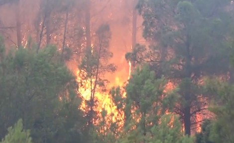 El incendio de Tuéjar quema ya 880 hectáreas y los trabajos se centran en evitar que pase al oeste del pantano