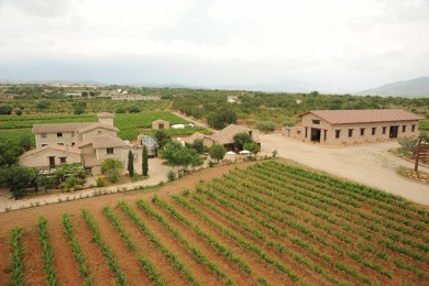 Bodega Barón d’Alba fusiona vino y música en su nueva propuesta enoturística