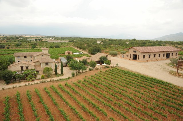 Bodega Barón d’Alba fusiona vino y música en su nueva propuesta enoturística