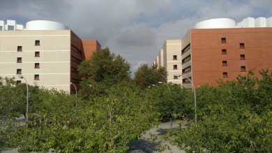 La UV y la UPV suspenden las clases presenciales ante la alerta naranja por lluvias