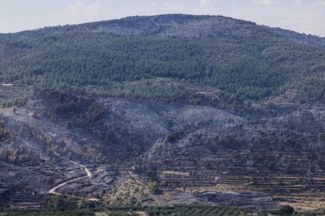 Estabilizado el incendio forestal de Tuéjar
