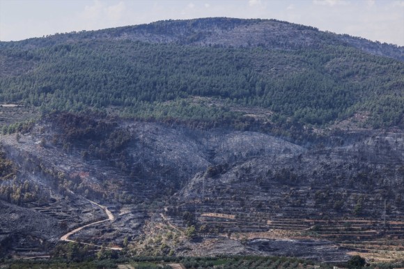 Bernabé dice que el fuego de Tuéjar se inició en una parcela agrícola y apunta al 