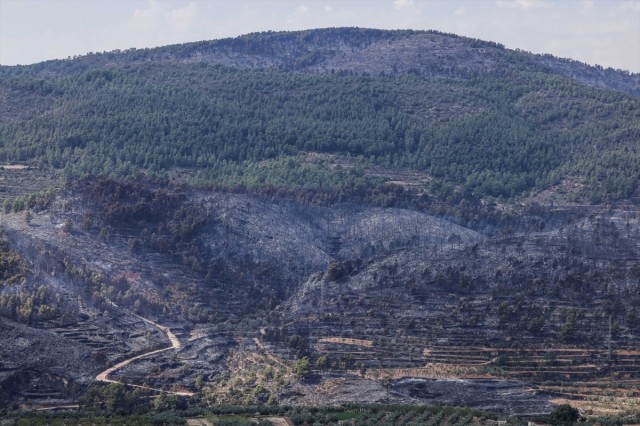 Estabilizado el incendio forestal de Tuéjar