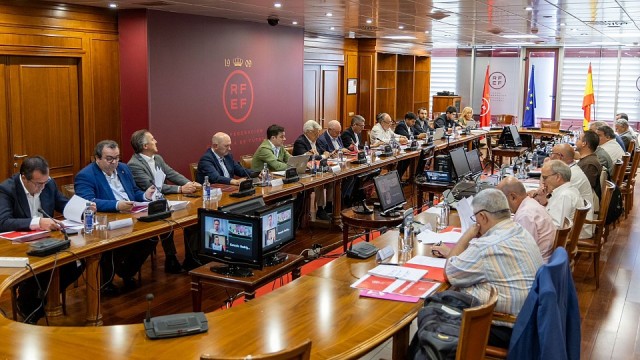 La RFEF reduce a la mínima expresión el control económico e incrementa a 25 las licencias 