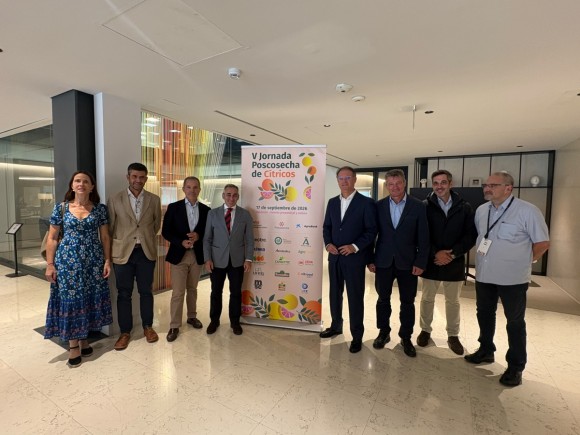 Barrachina reclama más protección para el sector citrícola con reciprocidad comercial y cláusulas de salvaguarda