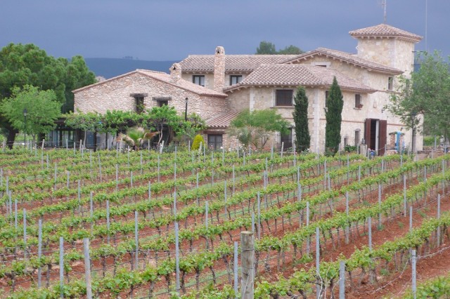 Bodegas Barón d'Alba fusiona vino y música en su nueva propuesta enoturístico