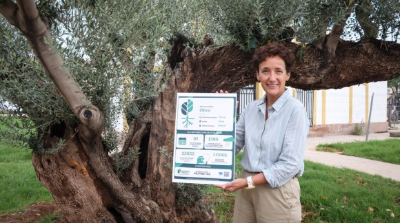 Onda da protagonismo a su olivo centenario de la Alquería Cultural con el sello de una campaña europea
