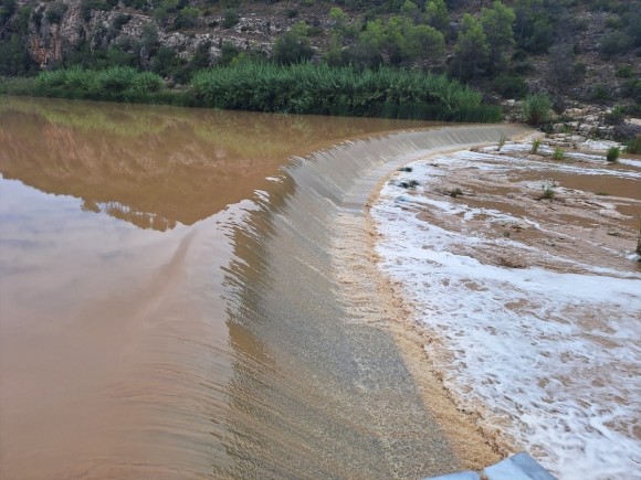 La CHJ lleva retirados 2.500 kilos de biomasa piscícola en el Magro tras el vertido de la pasada semana