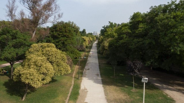 València reabre el Jardín del Turia, a excepción del tramo en torno al Palau de la Música