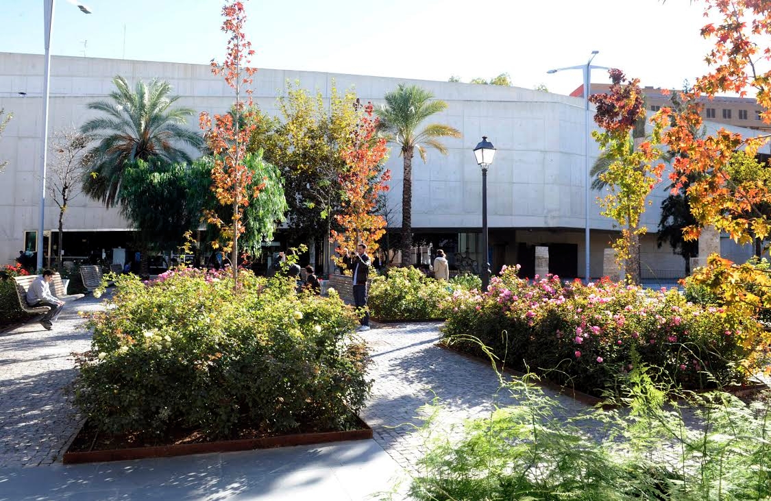 La ruina en el museo