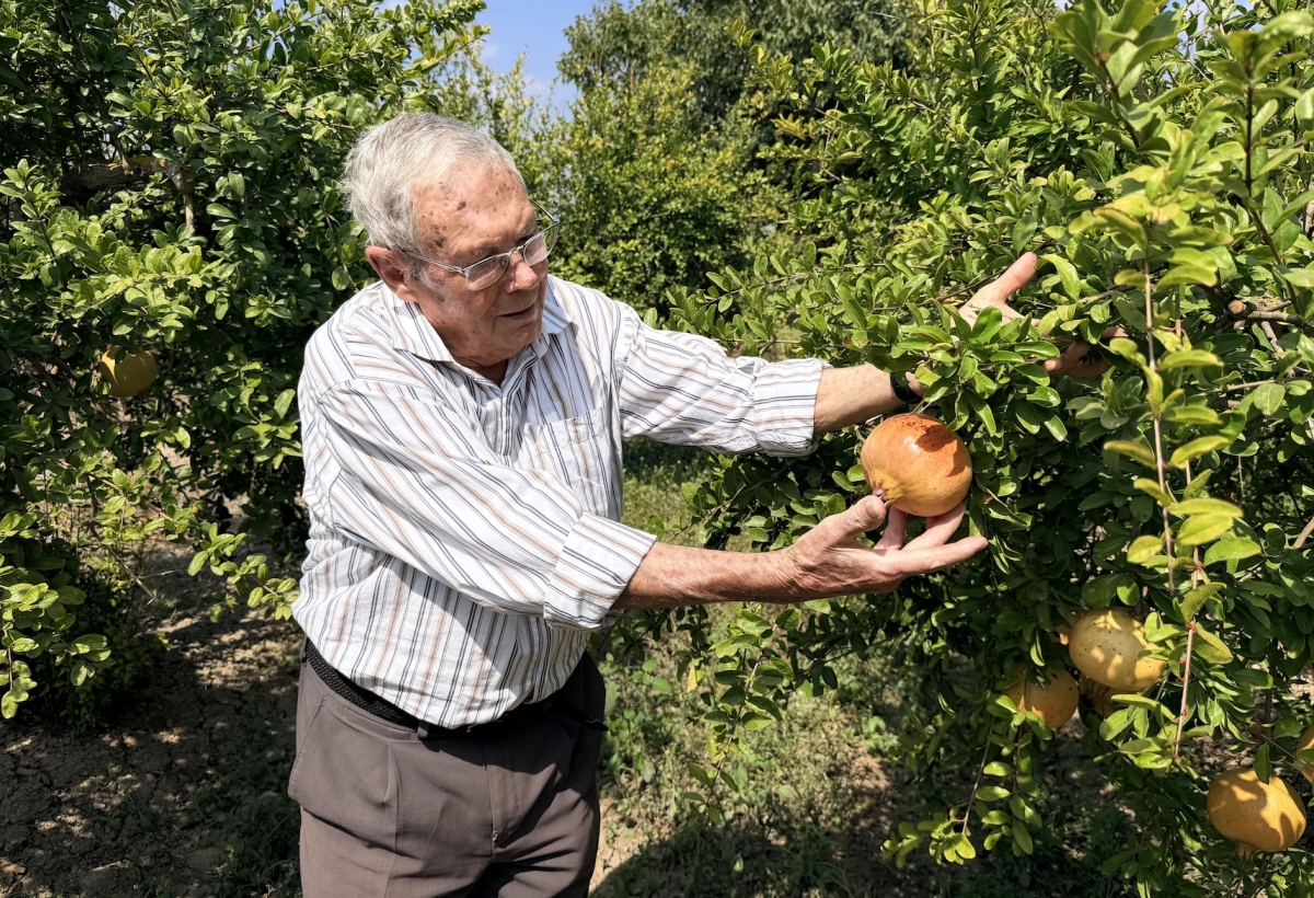 Pascual Román
