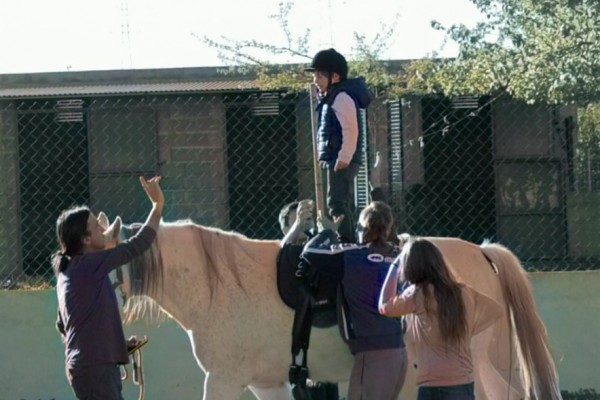 CEU y UJI diseñan un programa de educación con caballos para el equilibrio en niños con autismo
