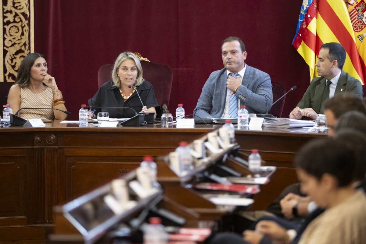 Marta Barrachina, presidenta de la Diputación de Castellón, durante el pleno.