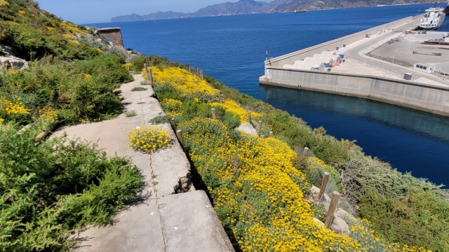 Cartagena lleva a Niza su modelo ambiental como primer puerto europeo certificado por Green Marine