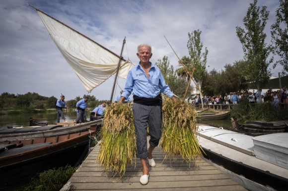  La D.O. Arroz de València celebra la Fiesta de la Siega este domingo en el Port de Catarroja