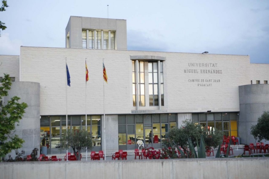Noruega explora vías de colaboración en Enfermería y Terapia Ocupacional con la UMH
