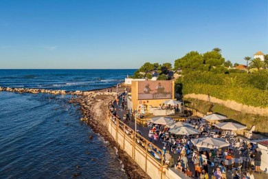 Requena Ciudad Española del Vino será protagonista en el D*na Festival 2026 en Dènia