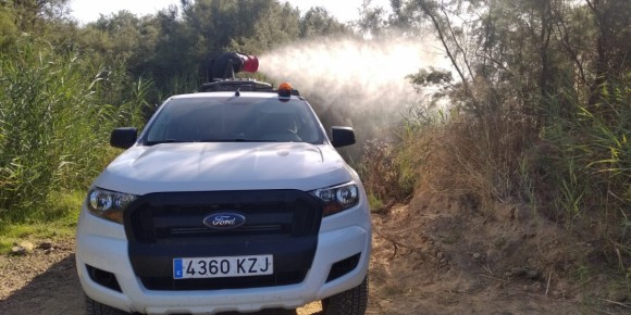 El verano se acaba, los mosquitos no: el calor récord prolonga la vigilancia hasta el otoño