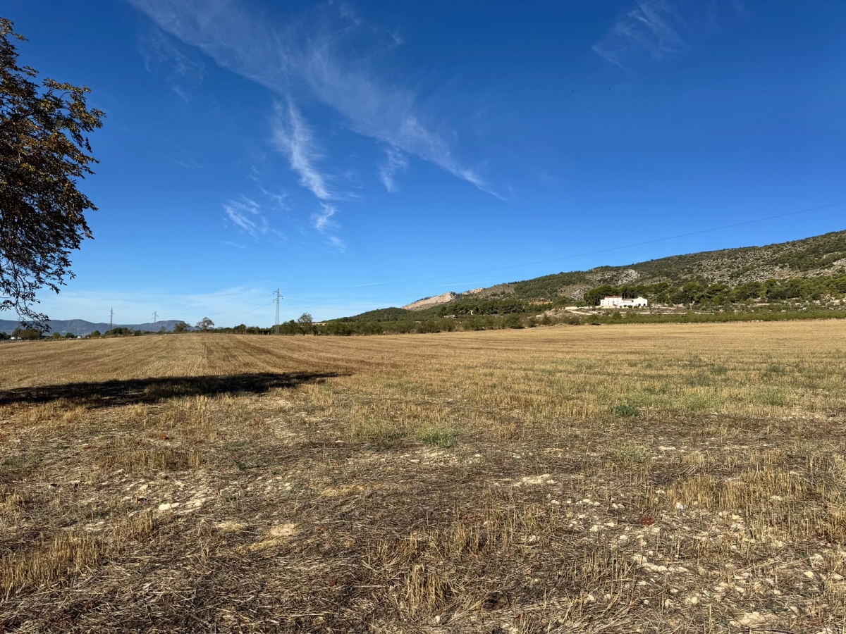 Terrenos donde se planteaba Alcoi Sud, más cerca del término de Ibi.