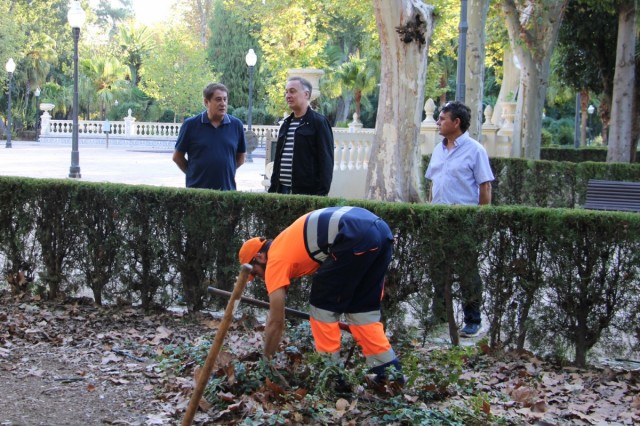 Castelló reutiliza los restos de poda de la ciudad para mejorar el suelo del Parque Ribalta