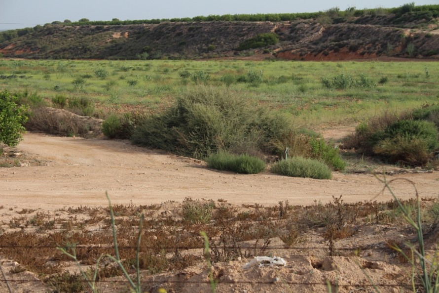 Ferrovial construirá ocho diques en la rambla de Cobatillas para frenar las inundaciones y proteger San Javier y el Campo de Cartagena