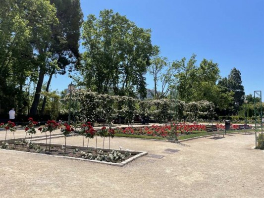 València cierra sus parques y jardines por la alerta meteorológica
