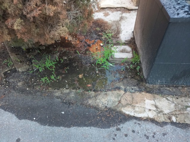 EU Podem reclama reparaciones urgentes en el cementerio de Alicante