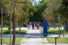 La UA quiere conectar su campus con los municipios de l'Alacantí: más bici y transporte público