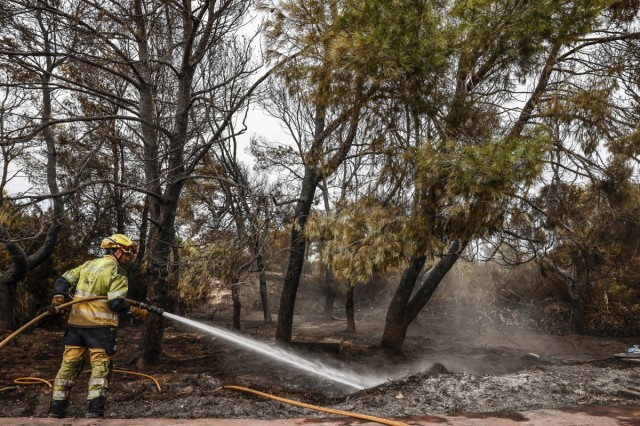 El ejecutivo de Catalá rechaza crear una comisión de investigación sobre el incendio de El Saler