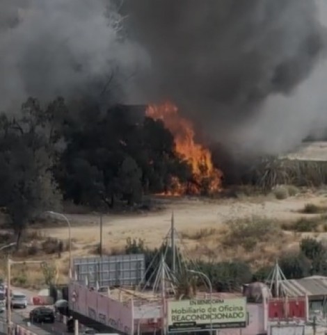 Un incendio en la antigua discoteca Manssion de Benidorm genera un gran columna de humo y varios desalojados