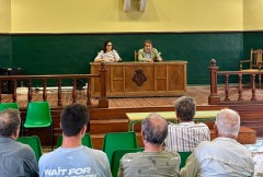 Castelló abrirá el 18 de octubre la nueva temporada del Mercat de la Taronja en tres plazas