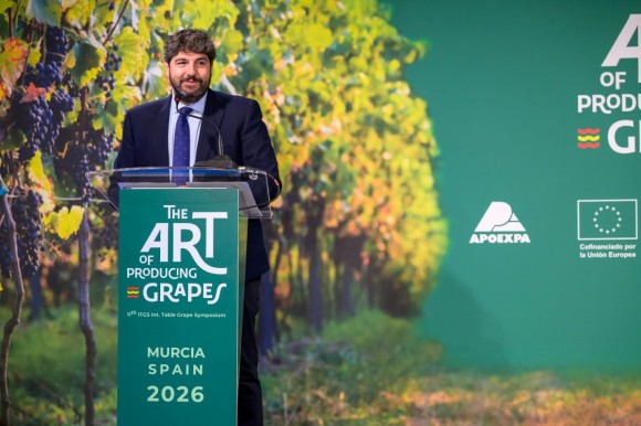 Murcia reúne a 600 expertos en uva de mesa mientras sus variedades ganan terreno en cinco continentes