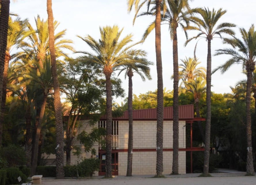 Elche tendrá un segundo edificio distinguido por su arquitectura moderna: el colegio El Palmeral