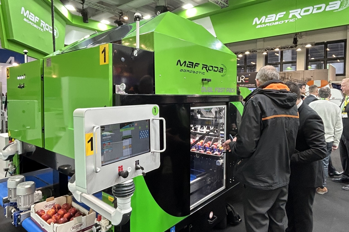 Fast Pack IA Limón, importante avance en la automatización deL empacado citrícola. Foto: MAF RODA - Fast Pack IA Limón, importante avance en la automatización deL empacado citrícola. Foto: MAF RODA