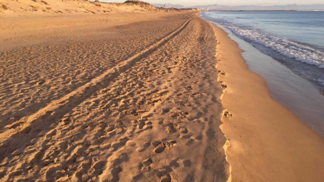 Una historia de amor truncada por las corrientes marinas: una pareja de ucranianos de 25 años fallece ahogada en Guardamar de Segura